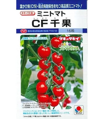 Amazon.co.jp: 中玉トマト 種 【 フルティカ 】 種子 100粒 : DIY