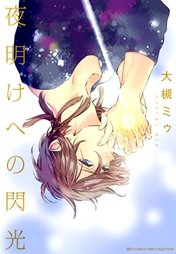 『夜明けへの閃光』