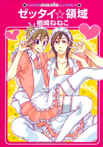 『ゼッタイ☆領域』1巻