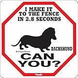 I MAKE IT TO THE FENCE IN 2.8 SECONDS DACHSHUND CAN YOU？サインボード：ダックスフンド [並行輸入品]