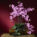 胡蝶蘭シルクOrchid Flower w / Leaves ( 6 stems )