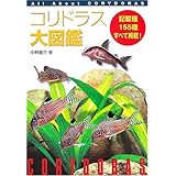 コリドラス大図鑑: 記載種155種すべて掲載!