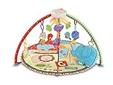 Fisher-Price Luv U Zoo Deluxe Musical Mobile Gym [並行輸入品]