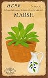 【種子】マーシュ [0845]