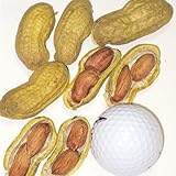 【メール便配送】国華園　野菜たね　落花生　ジャンボ落花生　1袋(30ml)【※発送が国華園からの場合のみ正規品です】