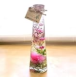 カーネーション ハーバリウム 【ピンク】 花 ギフト