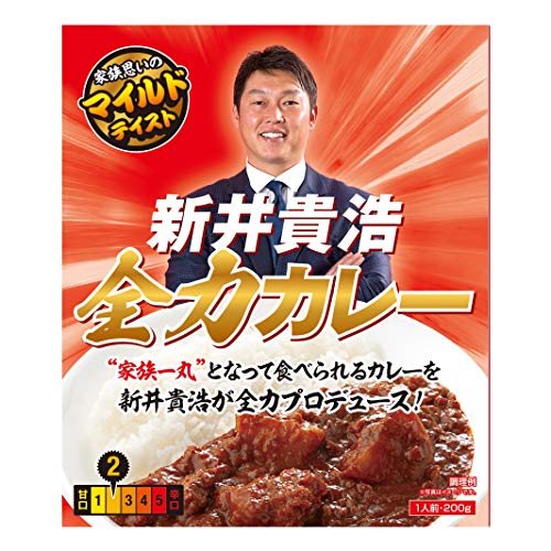 新井貴浩 全力カレー (1人前200g×10箱セット)