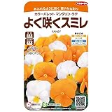 【種子】よく咲くスミレ マンダリン・ラテ 小袋