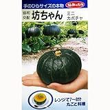 かぼちゃ 種 【 坊ちゃん 】 種子 小袋（約10粒）