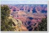 Grand Canyon National Park用紙印刷壁アート 36in. x 54in.