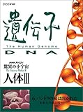 NHK�X�y�V���� ���ق̏��F�� �l�̇V ��`�q�`DNA ��6�W �p���h���̔��͊J���ꂽ�`�����l�̐݌v�}�`