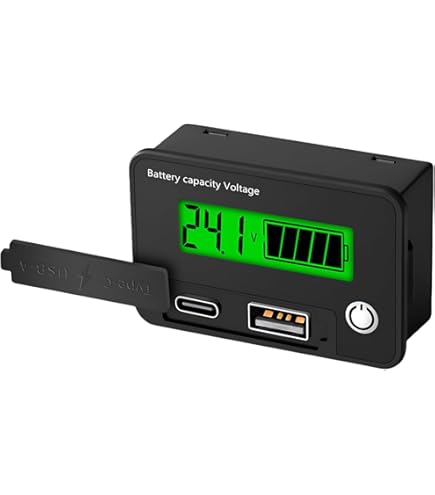 Amazon.co.jp: LiTime バッテリーモニター 500Aシャント付き 8V