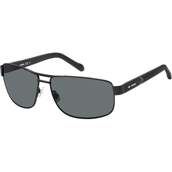 Amazon.co.jp: [ブラックフライズ] サングラス FLY AIDEN POL
