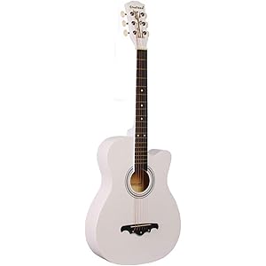 ギター 初心者 入門 アコースティック クラシックギター どこへでも気軽に持ち運べ