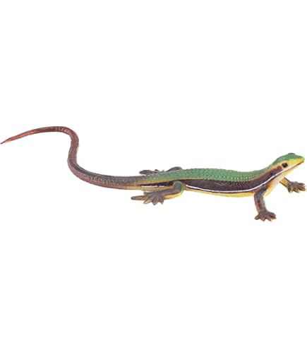 Amazon.co.jp: Collecta 88567 フトアゴヒゲトカゲ : おもちゃ