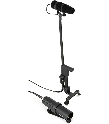 Amazon.co.jp: DPA Microphones DPA 4099-DC-1 楽器用 高感度