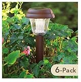 JIAWEI TECHNOLOGY L4C-N1-DB-6 Four Seasons Courtyard Solar Path Light, 6-Pack by JIAWEI TECHNOLOGY