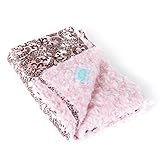 AllyZabba Aloha Candy Small TravelZabba Baby Blanket 16 x 14 by AllyZabba