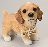 ラブリーミックスドック　ラブラドーレ