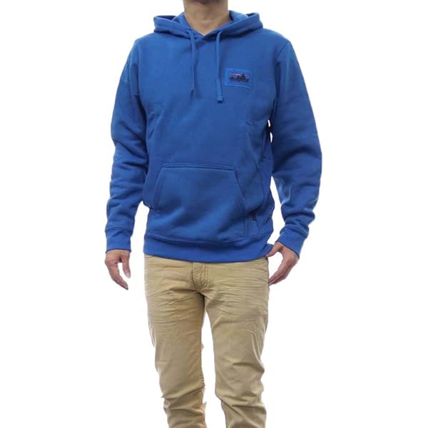 Amazon.co.jp: [パタゴニア] メンズ プルオーバー パーカー