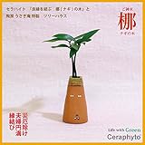 「ナギの木」　陶房「うさぎ庵」製オリジナル　一輪挿し風陶器鉢『ツリーハウス』　【土なし　清潔　水やり簡単　セラハイト】　　「NHK大河ドラマ　女城主　直虎」で「愛しいものの無事を祈る木」「災いを避ける