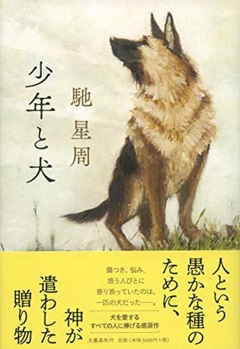 馳星周:少年と犬