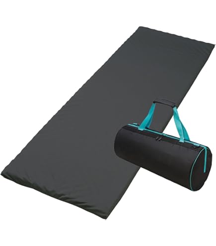 Amazon｜nishikawa 【 西川 】 [エアーポータブル] モバイルマット