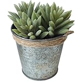 フェイクプランツ 多肉植物 バケツD DECOR IMITATION BLIKI L
