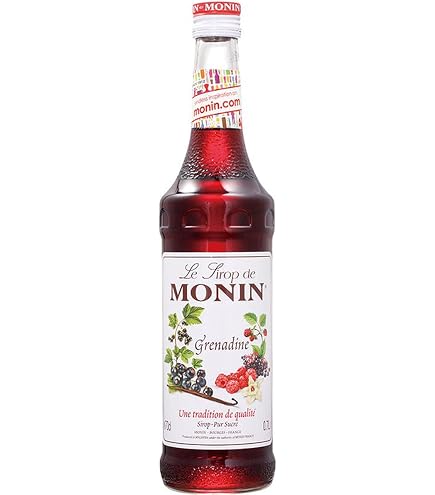 Amazon.co.jp: MONIN(モナン) キウイ シロップ 700ML 1本 : 食品・飲料