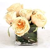 DDI 16052 WaterlookシルクシャンパンRoses in a Smallガラス長方形