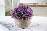 Kooyi 光触媒 インテリア グリーン フェイクグリーン 人工観葉植物 鉢植え (ベビーのスマイル, パープル)