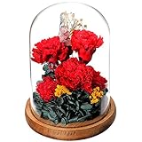 【Amazon.co.jp 限定】 母の日限定 TEATSIGHT プリザーブドフラワー アレンジ ラッピング済み ガラスポット 5輪 (カーネーション レッド ）