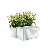 T4U プラスチック製 レクタングル 自己給水プランター 水位計付き、現代風 植木鉢 花器 フラワーポット 家庭植物/多肉/花植物/ハーブ/サボテン 適用、白 2個セット
