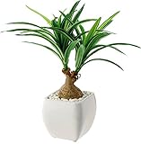 ポピー 観葉植物の造花 ノリナポット GLA-1226