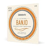 D'Addario ダダリオ バンジョー弦 フォスファー Medium 5弦 .010-.023 EJ55 【国内正規品】