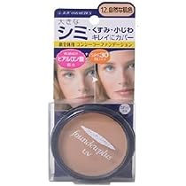 ファンデーション　コンシーラーファンデーション　送料無料　新品未使用 カバーパーフェクション コンシーラー ファンデーション ミニ