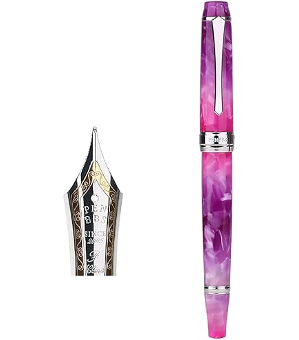 新品未使用品 PENBBS 355 ピストン充填 万年筆 Amazon | PENBBS 456 真空充填万年筆 樹脂製 透明ボディ