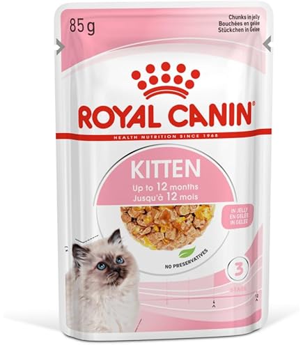 CANIN  2kg×2 Royal Canin Dry Kitten Food 2kg - Royal Canin Dry Cat Food