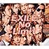 EXILE「No Limit(CD盤)」