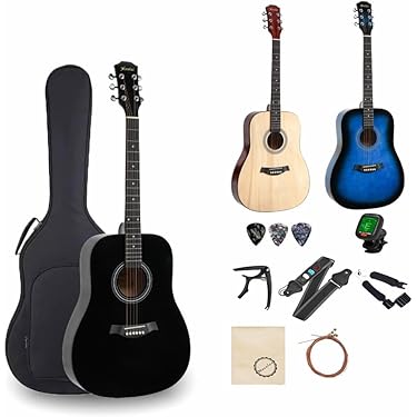 Takamine ギター（ソフトケース付き）＋おまけ（フォークギター入門コース） 楽天市場】【楽天1位常連！5倍Pあり・大人気の初心者ギター