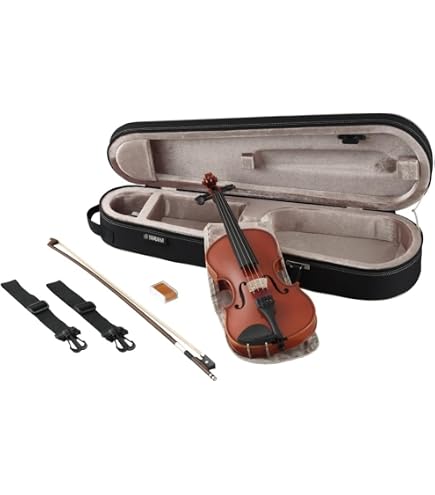 Amazon | EASTMAN VL80ｾｯﾄ 4/4 バイオリンセット (イーストマン 