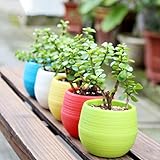 (サンライン)Sun Line プランター 植木鉢 フラワーポット ガーデニング 家庭菜園・ベランダ菜園用 インテリア 70*75*50