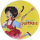 S&S パステルユーミ カンバッジ