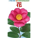 花 (小学館の図鑑NEO POCKET)