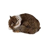 TAKEY猫 ぬいぐるみ リアル 寝そべり ねこ ひざねこ ネコちゃん 本物そっくり 置物 インテリア 部屋飾り 誕生日プレゼント 女性 (25*20*10cm,ブラウン)