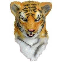 51BZFgIam2L._AC_UL210_SR210,