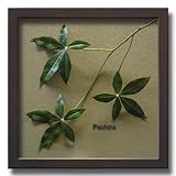 「Pachira」【リーフコレクション】(リーフインテリアフレーム)【人工観葉植物フレーム】[絵画通販]【絵のある暮らし】