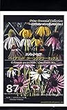 エキナセア ハイブリッド コーンフラワーミックス Prime Perennial Collection 花 約4粒
