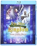 20th Summer 2001 Kingdom Chapter II: Never Ending Dream [Blu-ray]