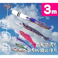 【家紋・名入れ対応】【庭園鯉のぼり】3m雲竜吹流しナイロンSky鯉のぼり8点セット【鯉幟】【鯉のぼり】【こいのぼり】